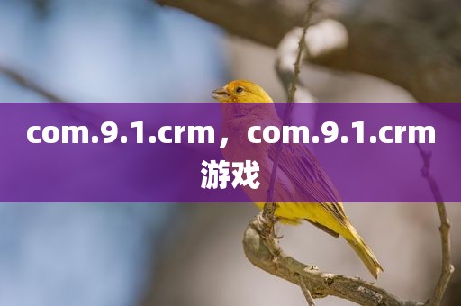 com.9.1.crm，com.9.1.crm游戏