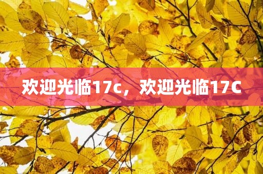 欢迎光临17c，欢迎光临17C