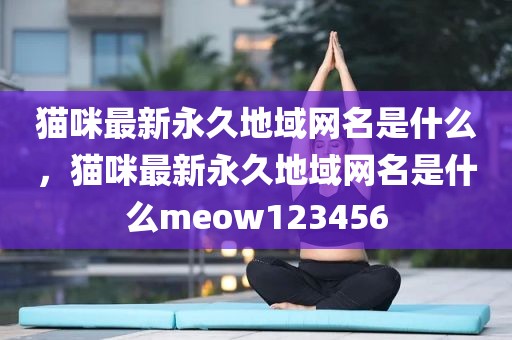 猫咪最新永久地域网名是什么，猫咪最新永久地域网名是什么meow123456
