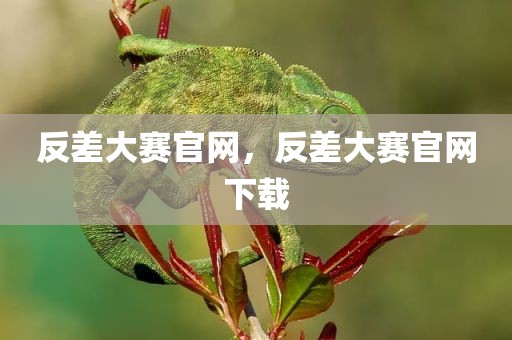 反差大赛官网，反差大赛官网下载