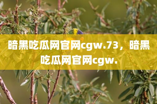 暗黑吃瓜网官网cgw.73，暗黑吃瓜网官网cgw.