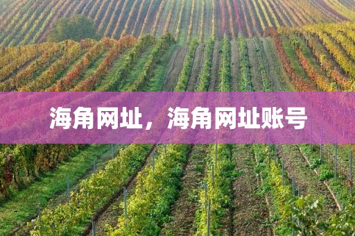 海角网址，海角网址账号