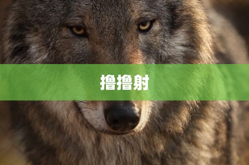 撸撸射