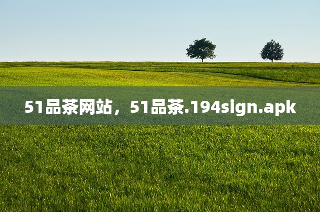 51品茶网站，51品茶.194sign.apk