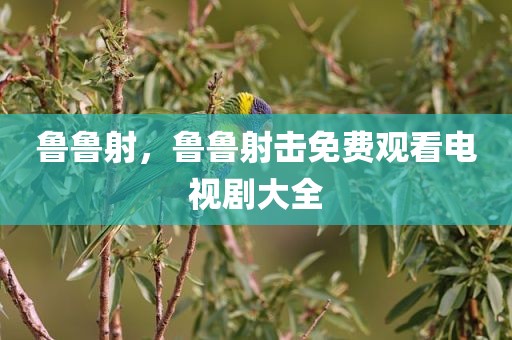 鲁鲁射，鲁鲁射击免费观看电视剧大全