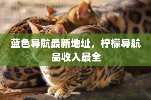 蓝色导航最新地址，柠檬导航品收入最全