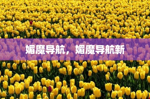媚魔导航，媚魔导航新