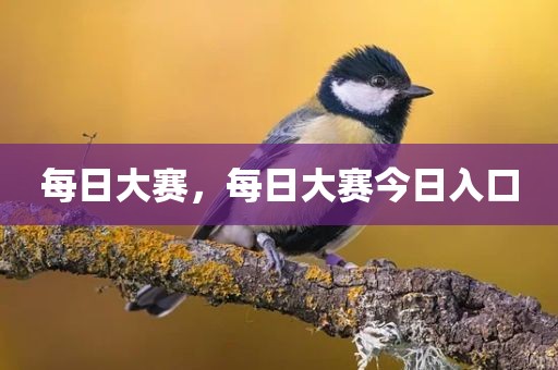 每日大赛，每日大赛今日入口