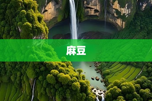 麻豆