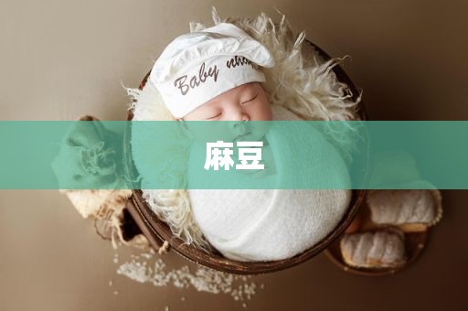 麻豆