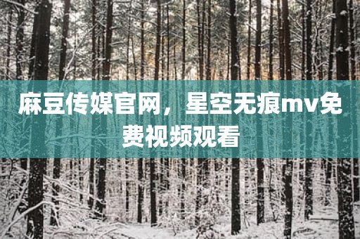 麻豆传媒官网，星空无痕mv免费视频观看