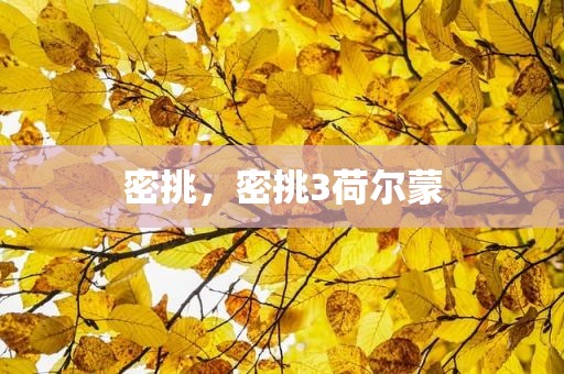密挑，密挑3荷尔蒙