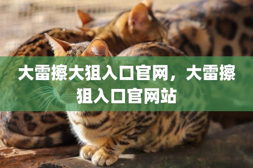 大雷擦大狙入口官网，大雷擦狙入口官网站
