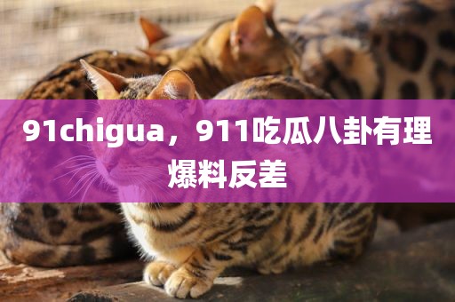 91chigua，911吃瓜八卦有理爆料反差
