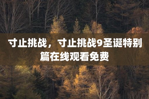 寸止挑战，寸止挑战9圣诞特别篇在线观看免费