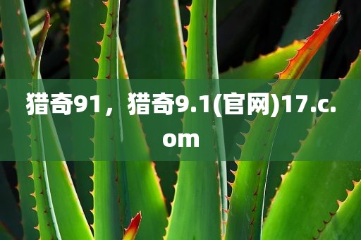 猎奇91，猎奇9.1(官网)17.c.om