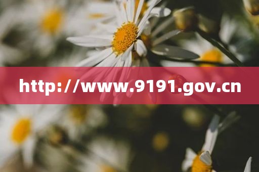 http://www.9191.gov.cn