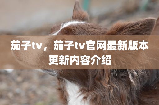 茄子tv，茄子tv官网最新版本更新内容介绍