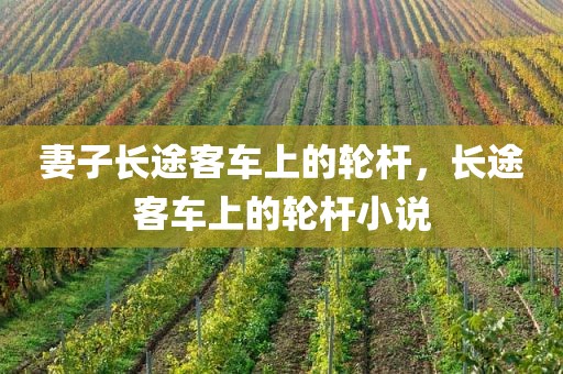 妻子长途客车上的轮杆，长途客车上的轮杆小说