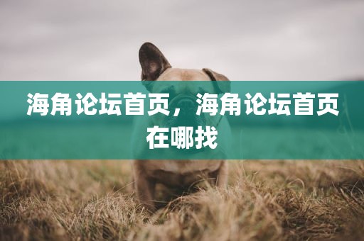 海角论坛首页，海角论坛首页在哪找