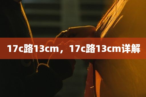 17c路13cm，17c路13cm详解