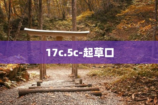 17c.5c-起草口