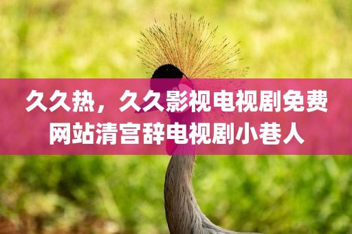 久久热，久久影视电视剧免费网站清宫辞电视剧小巷人