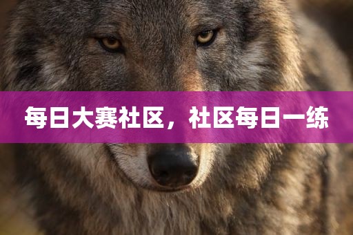 每日大赛社区，社区每日一练