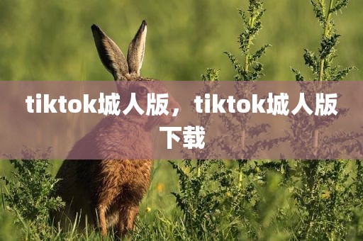 tiktok城人版，tiktok城人版下载