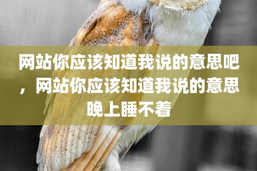 网站你应该知道我说的意思吧，网站你应该知道我说的意思晚上睡不着