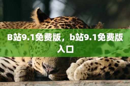 B站9.1免费版，b站9.1免费版入口