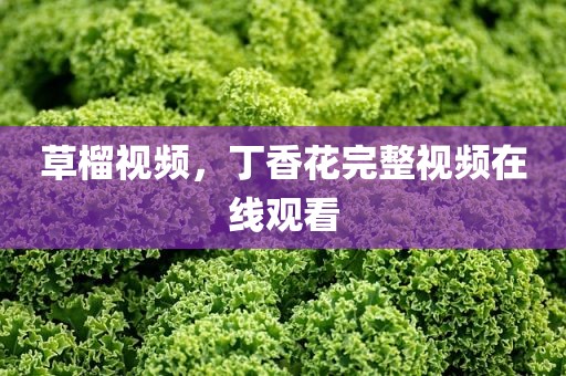 草榴视频，丁香花完整视频在线观看