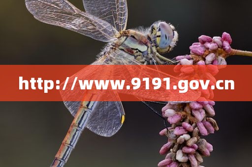 http://www.9191.gov.cn