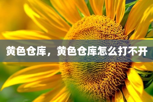 黄色仓库，黄色仓库怎么打不开