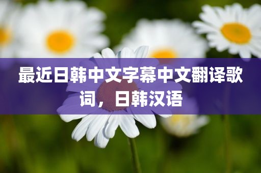 最近日韩中文字幕中文翻译歌词，日韩汉语