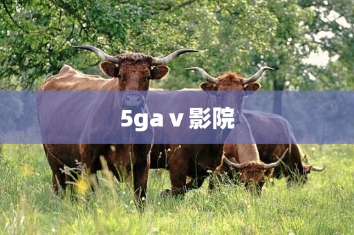 5gaⅴ影院