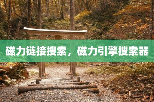 磁力链接搜索，磁力引擎搜索器