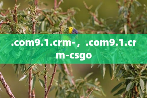 .com9.1.crm-，.com9.1.crm-csgo