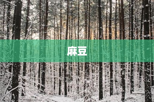麻豆