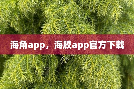 海角app，海胶app官方下载