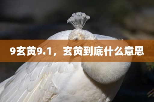 9玄黄9.1，玄黄到底什么意思