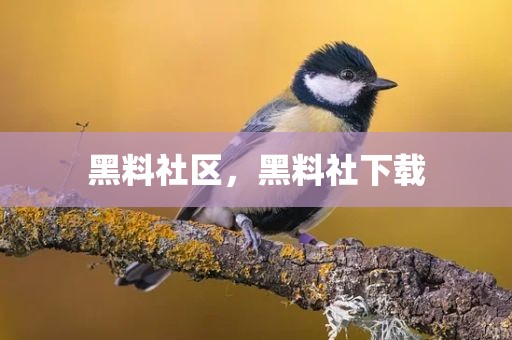黑料社区，黑料社下载