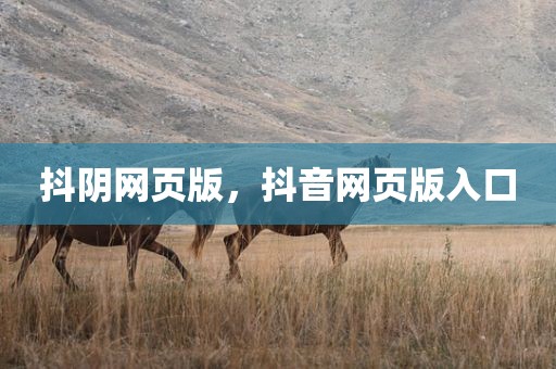 抖阴网页版，抖音网页版入口