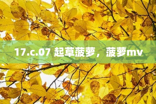 17.c.07 起草菠萝，菠萝mv