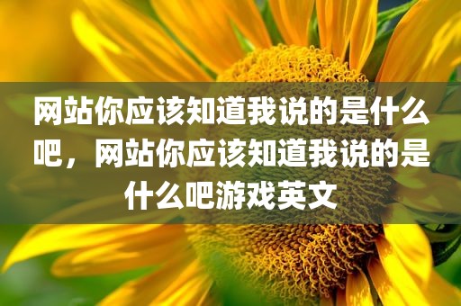 网站你应该知道我说的是什么吧，网站你应该知道我说的是什么吧游戏英文