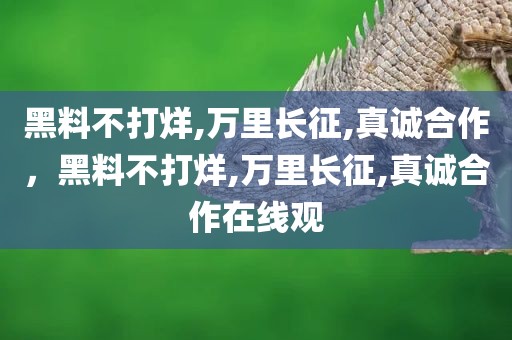 黑料不打烊,万里长征,真诚合作，黑料不打烊,万里长征,真诚合作在线观