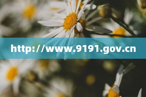 http://www.9191.gov.cn