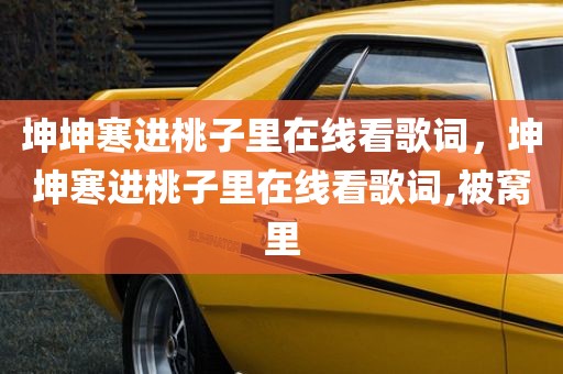 坤坤寒进桃子里在线看歌词，坤坤寒进桃子里在线看歌词,被窝里