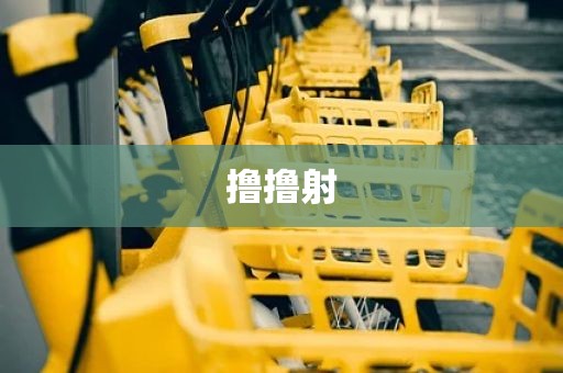 撸撸射