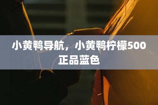 小黄鸭导航，小黄鸭柠檬500正品蓝色